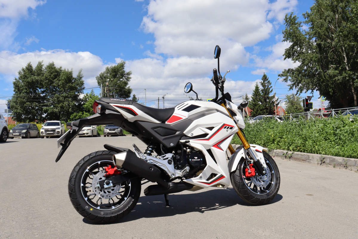 Мотоцикл PROMAX STRYKER 200(49) 2.0 в Нижнем Новгороде