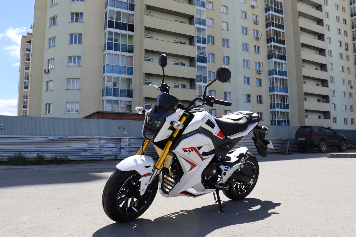 Мотоцикл PROMAX STRYKER 200(49) 2.0 в Нижнем Новгороде
