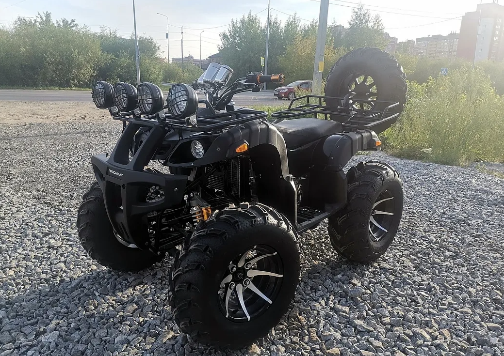 Квадроцикл PROMAX LEO 300 Max (кардан) в Нижнем Новгороде