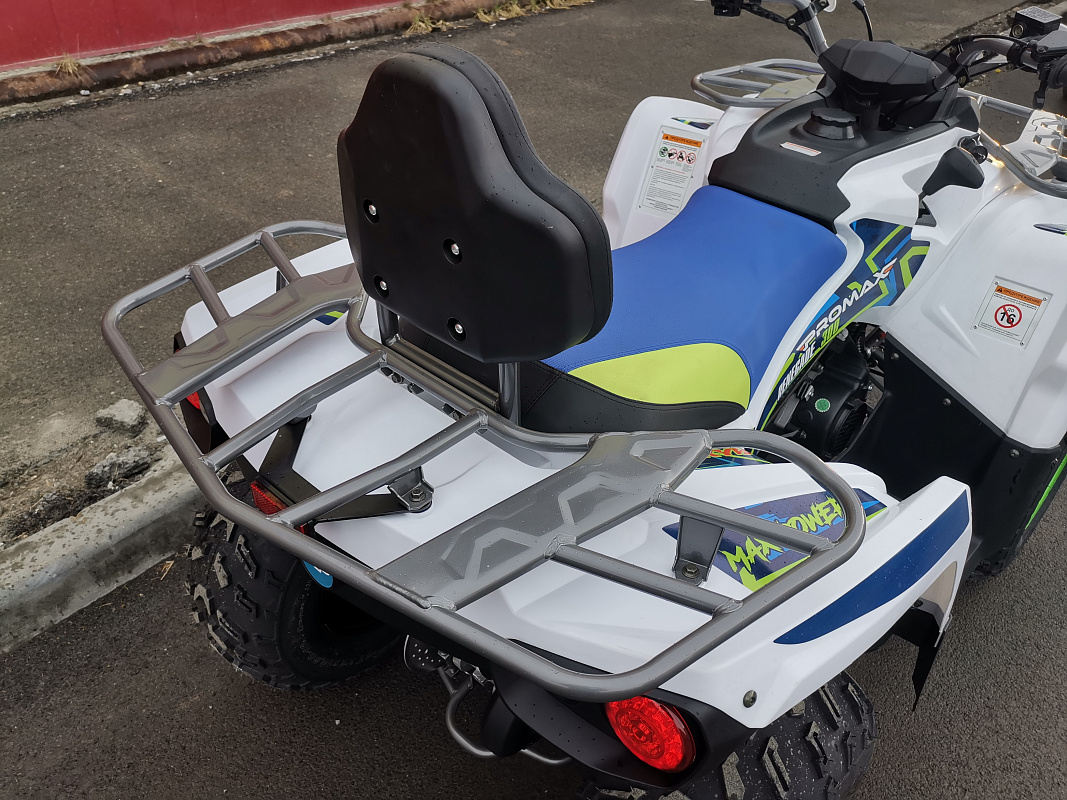 Квадроцикл PROMAX RENEGADE 280 LUX (2025) в Нижнем Новгороде