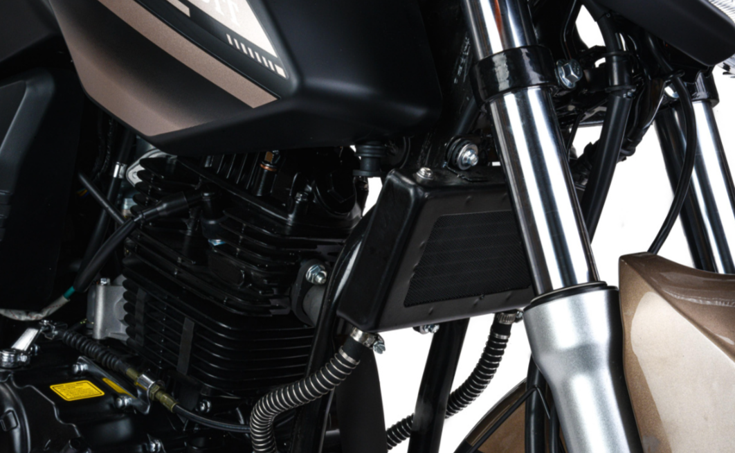 Мотоцикл MOTOLAND (МОТОЛЕНД) 300 BANDIT в Нижнем Новгороде