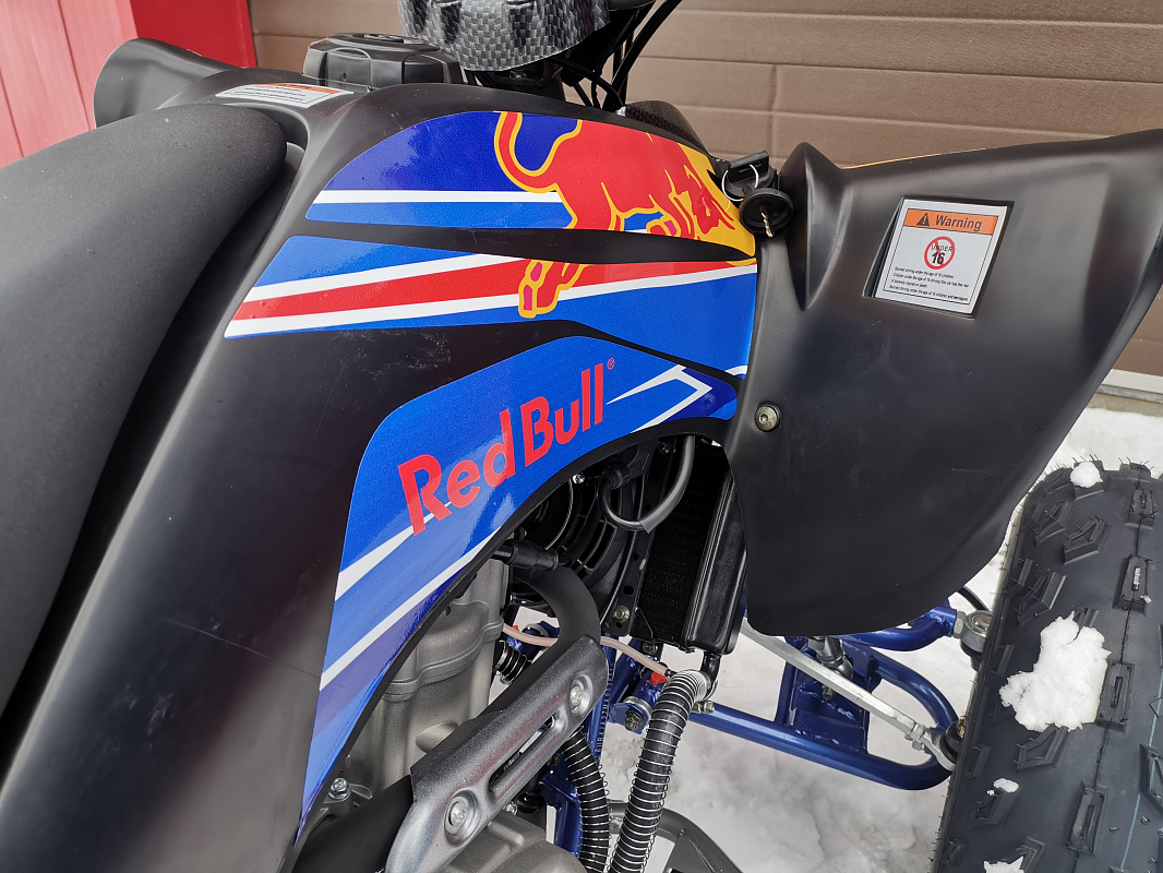 Квадроцикл PROMAX RAPTOR 300 NEW RedBull в Нижнем Новгороде