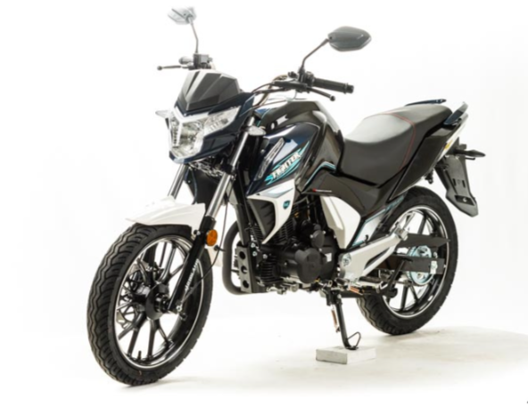 Мотоцикл MOTOLAND (МОТОЛЕНД) FIGHTER 250 в Нижнем Новгороде