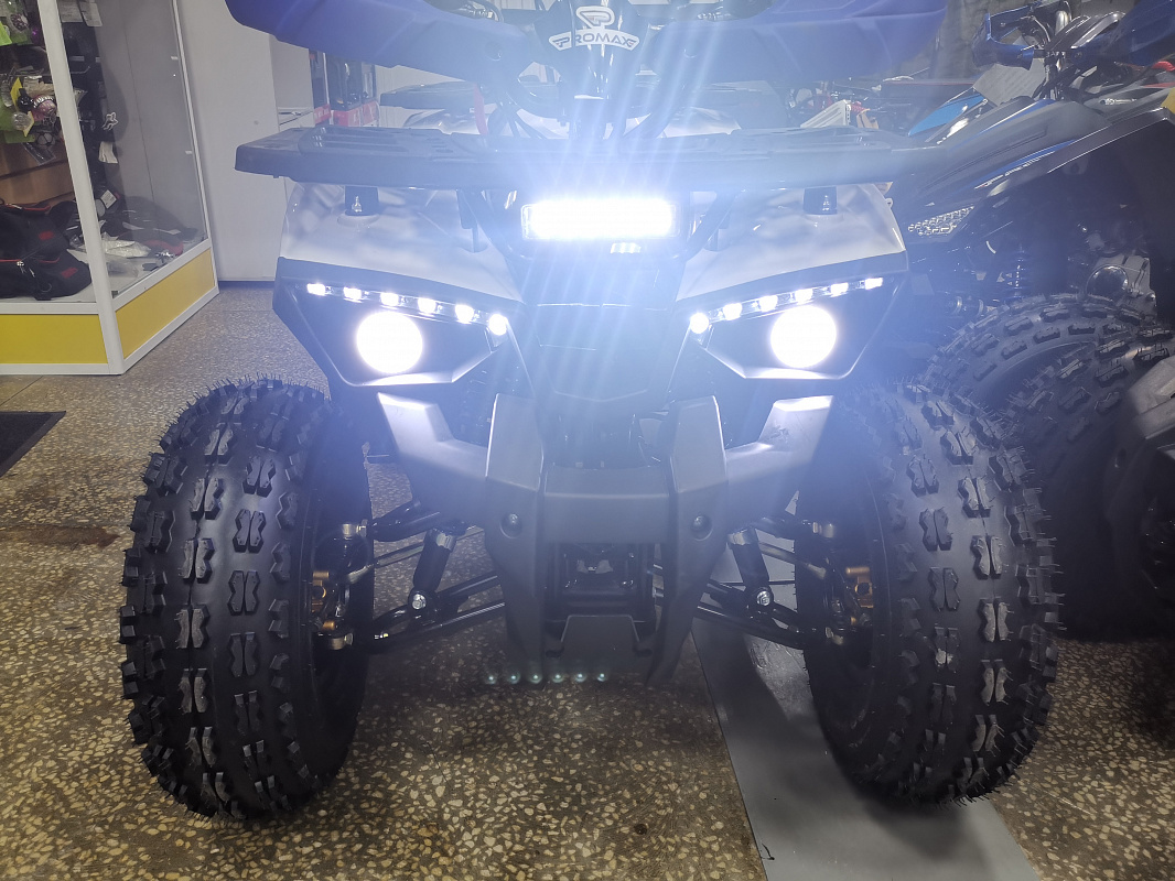 Квадроцикл PROMAX WILD 175 LUX в Нижнем Новгороде