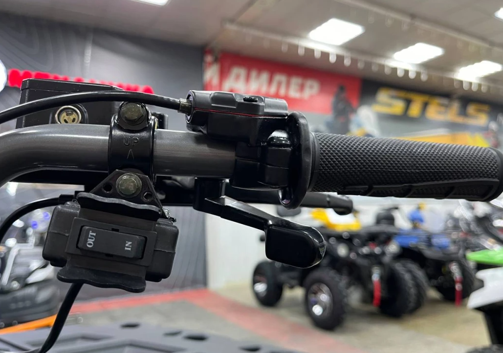 Квадроцикл PROMAX RENEGADE 300 LONG WINCH PRO (2025) в Нижнем Новгороде