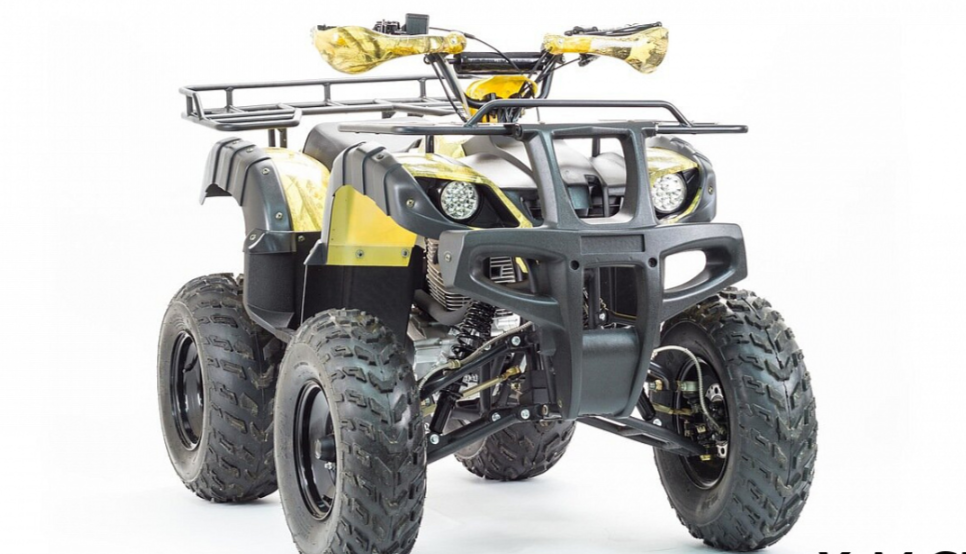 Квадроцикл MOTOLAND (МОТОЛЕНД) 250 ADVENTURE в Нижнем Новгороде