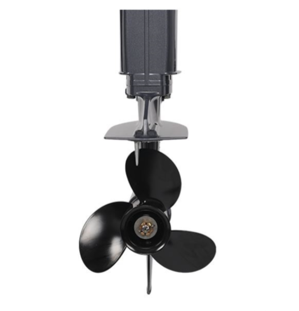 Лодочный мотор ALLFA CG Т40FW S в Нижнем Новгороде