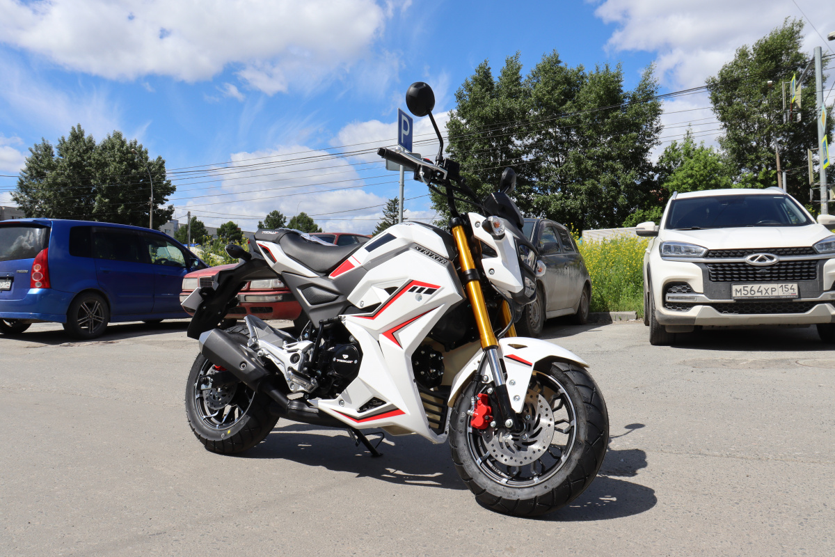 Мотоцикл PROMAX STRYKER 200(49) 2.0 в Нижнем Новгороде