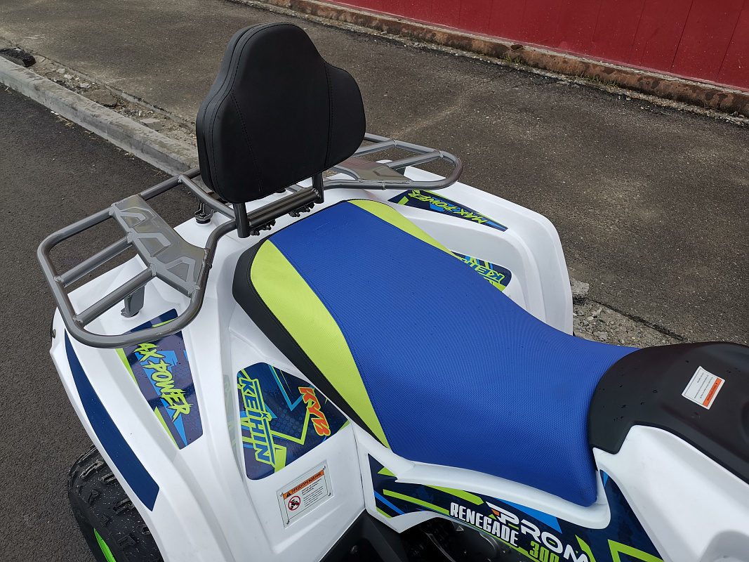 Квадроцикл PROMAX RENEGADE 280 LUX (2025) в Нижнем Новгороде