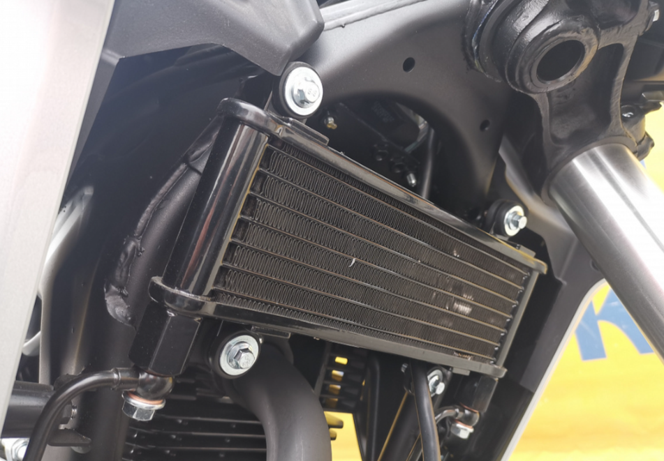 Мотоцикл MOTOLAND (МОТОЛЕНД) 250 CB250 (172FMM-5/PR250) (2022 г.) в Нижнем Новгороде