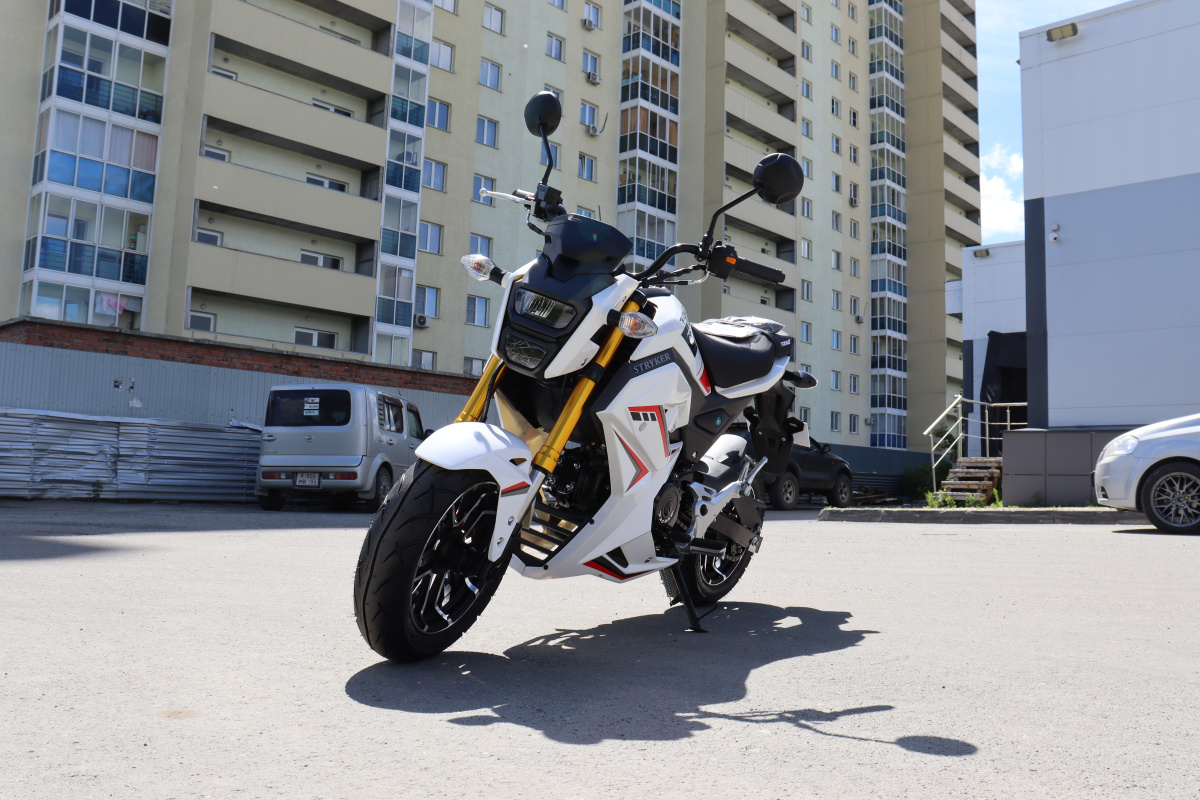 Мотоцикл PROMAX STRYKER 200(49) 2.0 в Нижнем Новгороде