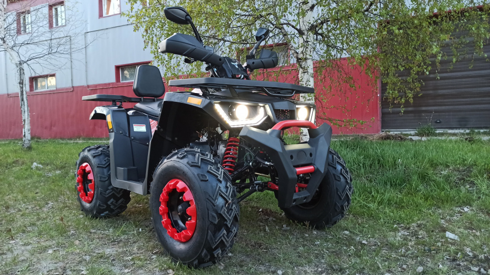 Квадроцикл PROMAX WILD 300 LUX (2024) в Нижнем Новгороде
