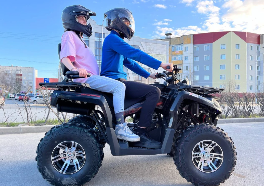 Квадроцикл PROMAX RENEGADE 300 LONG WINCH PRO (2025) в Нижнем Новгороде