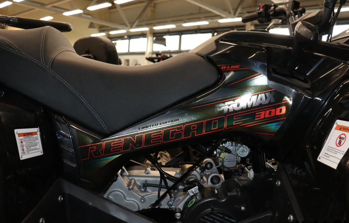 Квадроцикл PROMAX RENEGADE 300 LONG WINCH PRO (2025) в Нижнем Новгороде