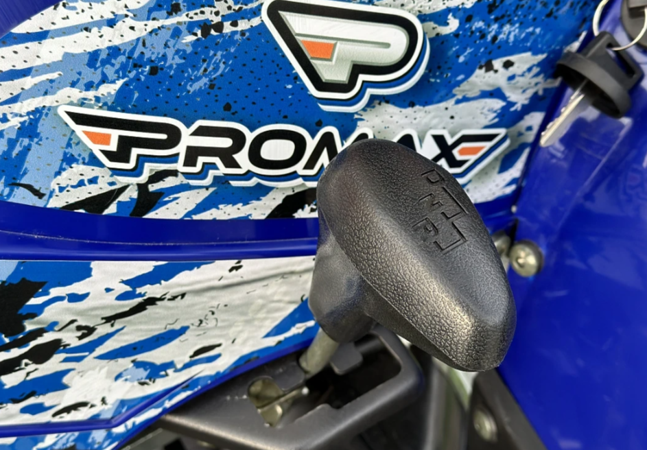  Квадроцикл PROMAX ATV 250 MAX (2025) в Нижнем Новгороде