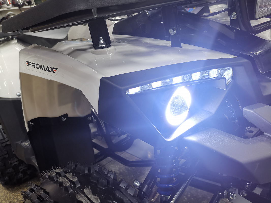 Квадроцикл PROMAX WILD 175 LUX в Нижнем Новгороде