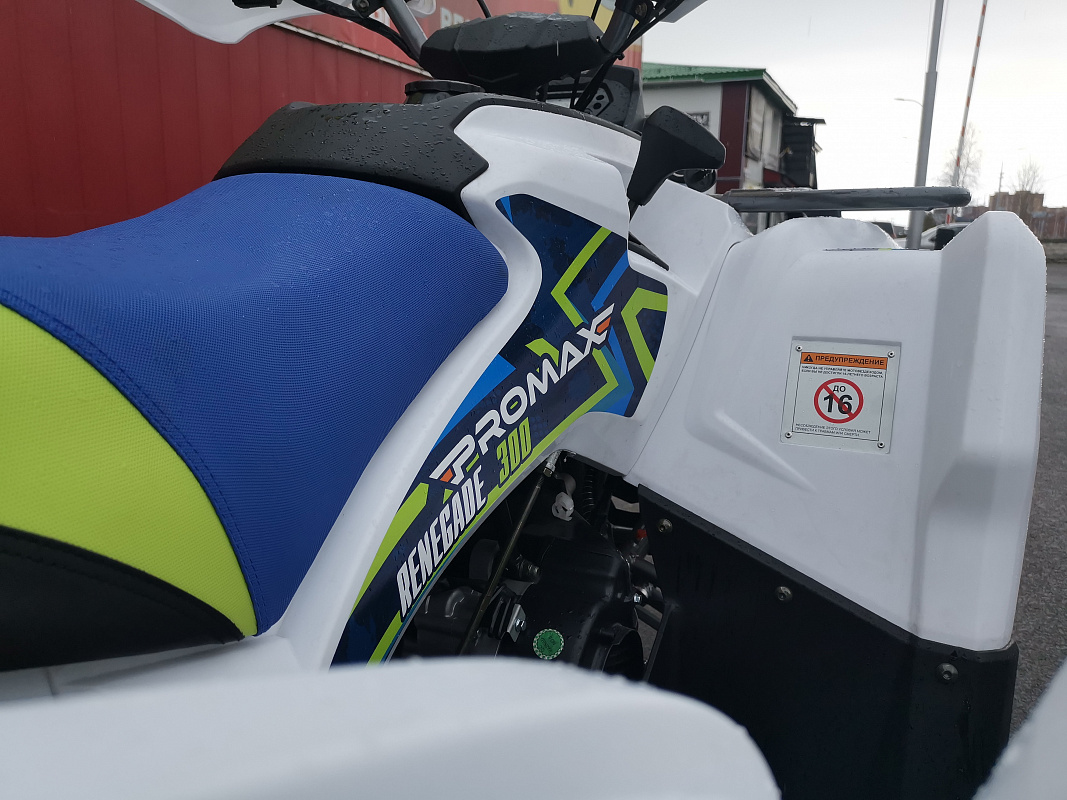 Квадроцикл PROMAX RENEGADE 280 LUX (2025) в Нижнем Новгороде