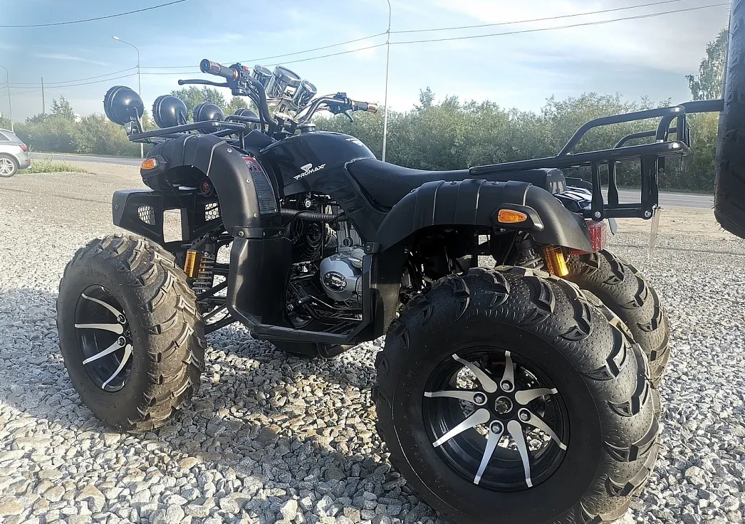 Квадроцикл PROMAX LEO 300 Max (кардан) в Нижнем Новгороде