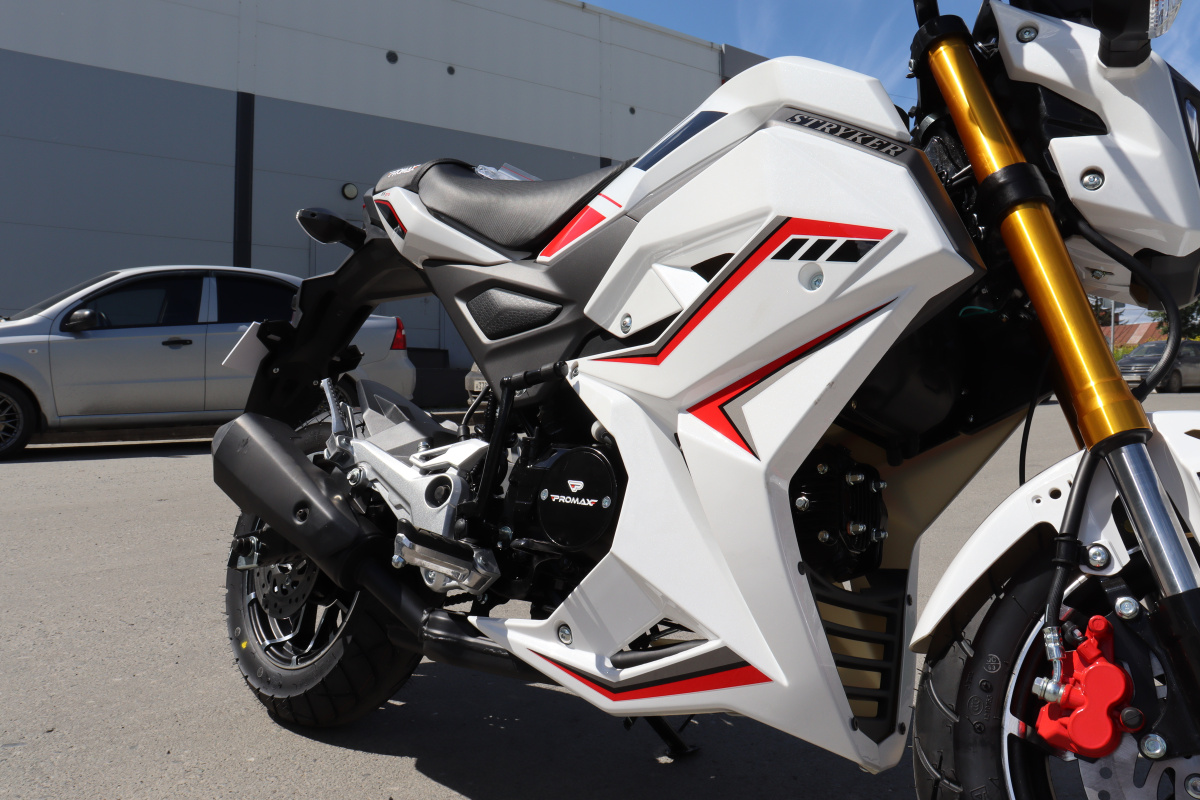 Мотоцикл PROMAX STRYKER 200(49) 2.0 в Нижнем Новгороде