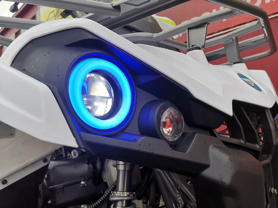 Квадроцикл PROMAX RENEGADE 280 LUX (2025) в Нижнем Новгороде