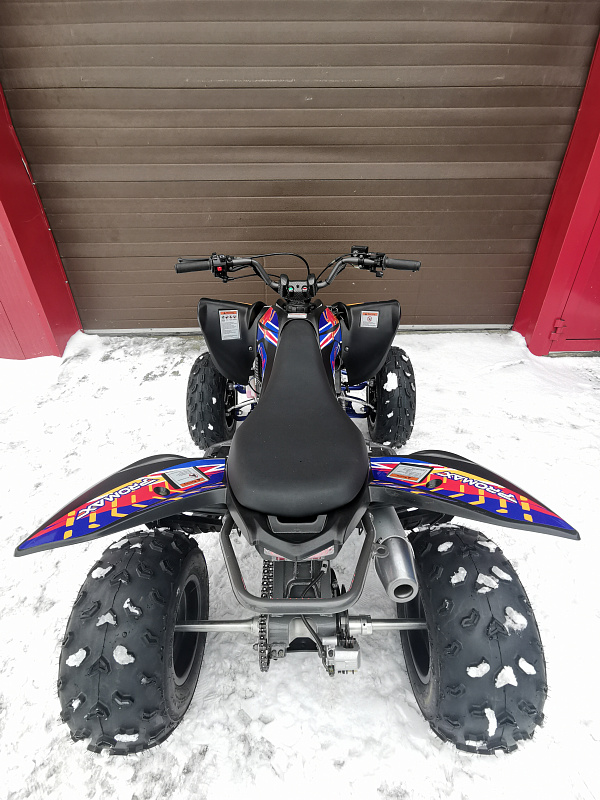 Квадроцикл PROMAX RAPTOR 300 NEW RedBull в Нижнем Новгороде