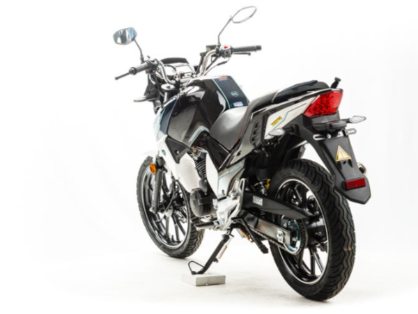 Мотоцикл MOTOLAND (МОТОЛЕНД) FIGHTER 250 в Нижнем Новгороде