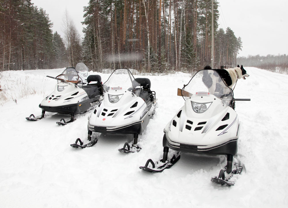 СНЕГОХОД РМ ТАЙГА ВАРЯГ 550 V в Нижнем Новгороде