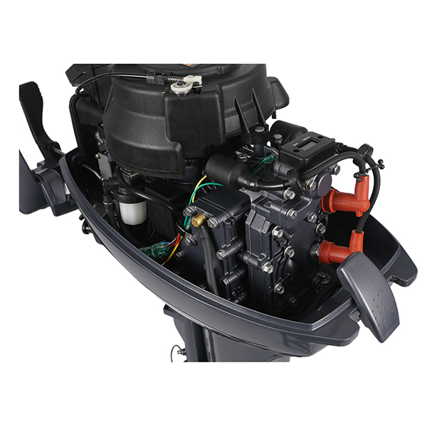 ЛОДОЧНЫЙ МОТОР ALLFA CG Т9,9 в Нижнем Новгороде