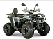 Квадроцикл YACOTA DRAGON LUX LD 150 PRO-SPORT в Нижнем Новгороде