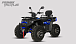 Квадроцикл PROMAX TAURUS 300 MAX-PRO LONG в Нижнем Новгороде