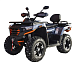 Квадроцикл MOTOLAND (МОТОЛЕНД) 300 MAX X в Нижнем Новгороде
