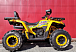 Квадроцикл PROMAX STORM 280 LUX в Нижнем Новгороде