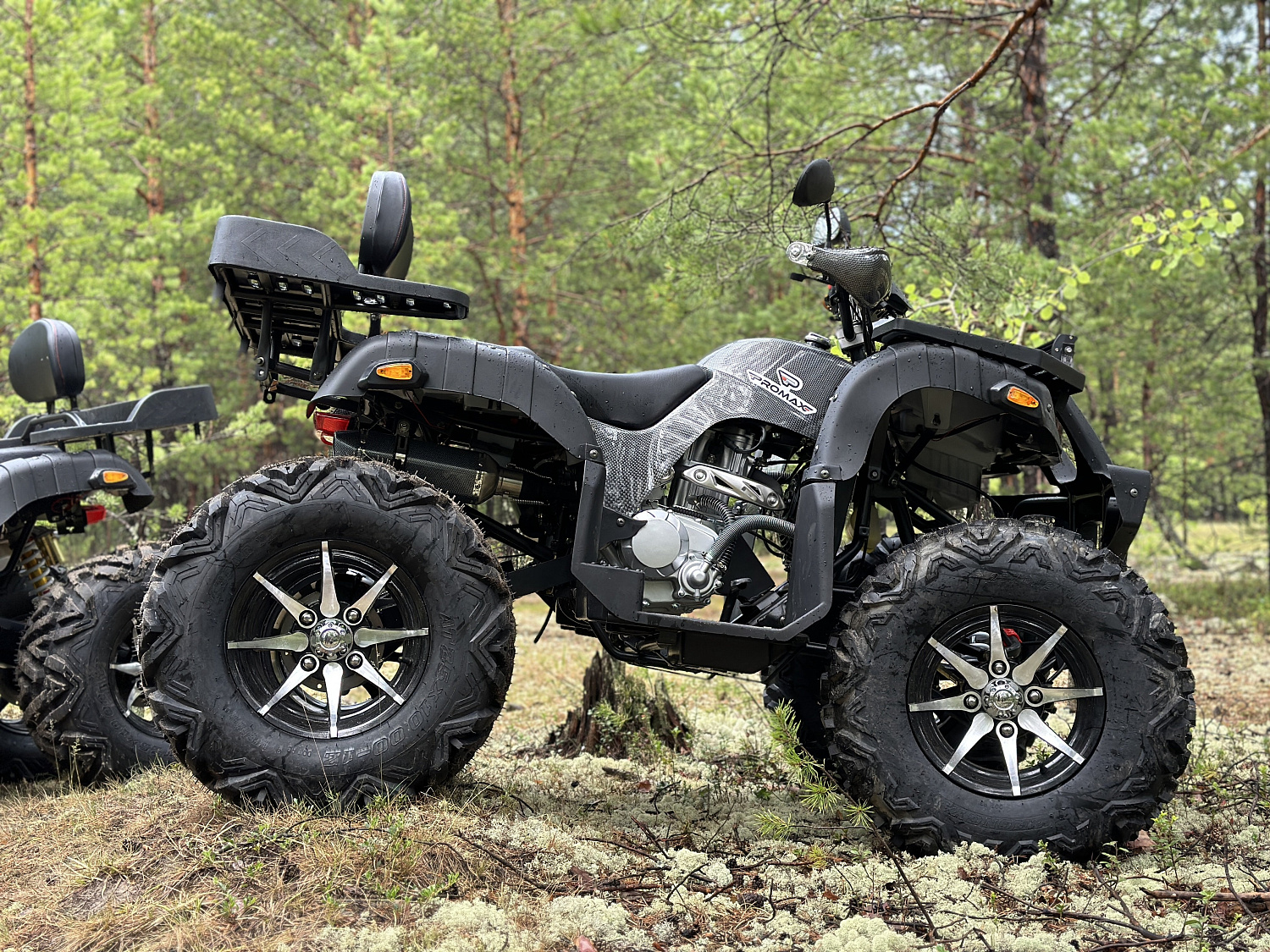 Квадроцикл PROMAX 320 DOMINATOR (2025) в Нижнем Новгороде