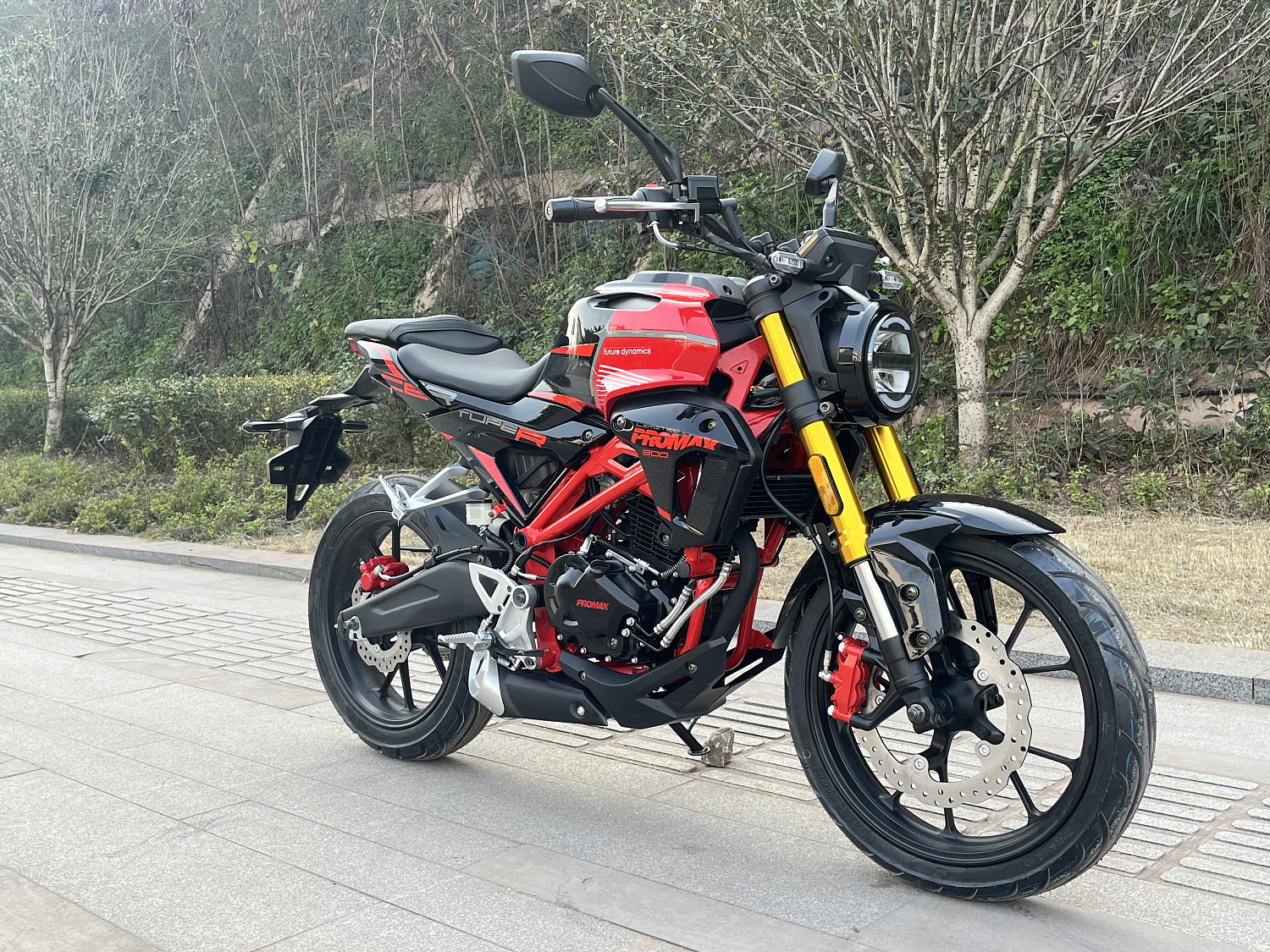 Мотоцикл PROMAX CB300 в Нижнем Новгороде