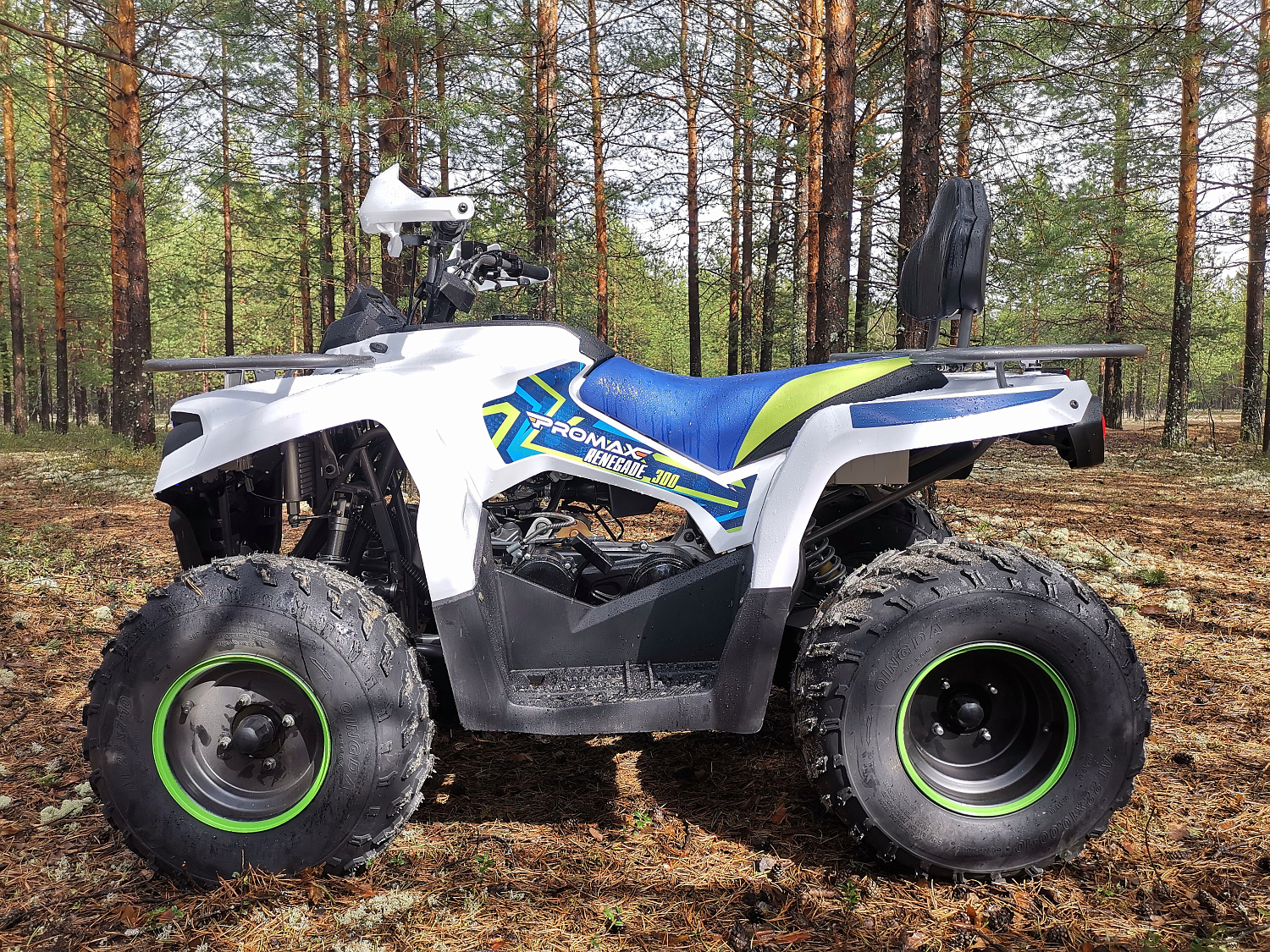 Квадроцикл PROMAX RENEGADE 280 (2025) в Нижнем Новгороде