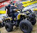 Квадроцикл PROMAX ATV 250 (2025) в Нижнем Новгороде