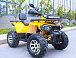 Квадроцикл MOTOLAND (МОТОЛЕНД) VOX200 WILD TRACK X PRO (баланс. вал) в Нижнем Новгороде