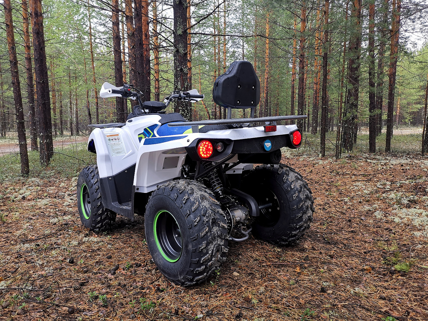 Квадроцикл PROMAX RENEGADE 280 (2025) в Нижнем Новгороде