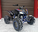 Квадроцикл PROMAX RAPTOR 300 NEW RedBull в Нижнем Новгороде