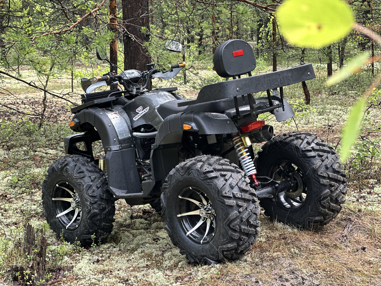 Квадроцикл PROMAX 320 DOMINATOR (2025) в Нижнем Новгороде