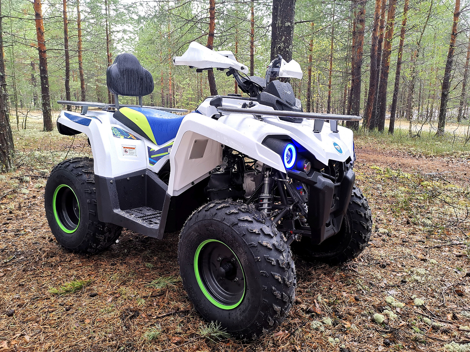 Квадроцикл PROMAX RENEGADE 280 (2025) в Нижнем Новгороде