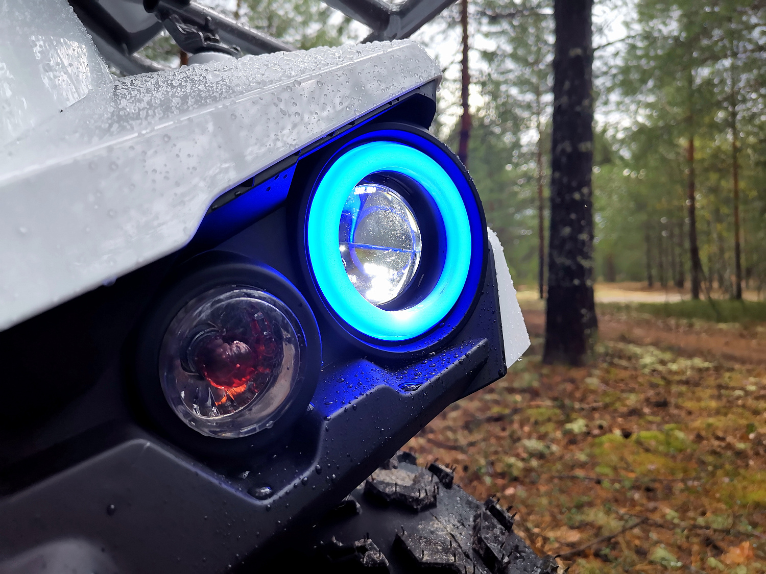 Квадроцикл PROMAX RENEGADE 280 (2025) в Нижнем Новгороде