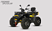 Квадроцикл PROMAX TAURUS 300 MAX-PRO LONG в Нижнем Новгороде